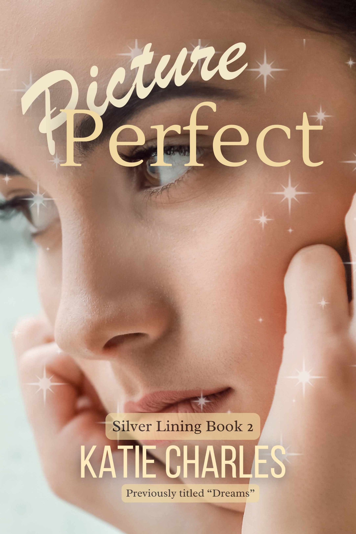 Silver Lining Book Two: Picture Perfect