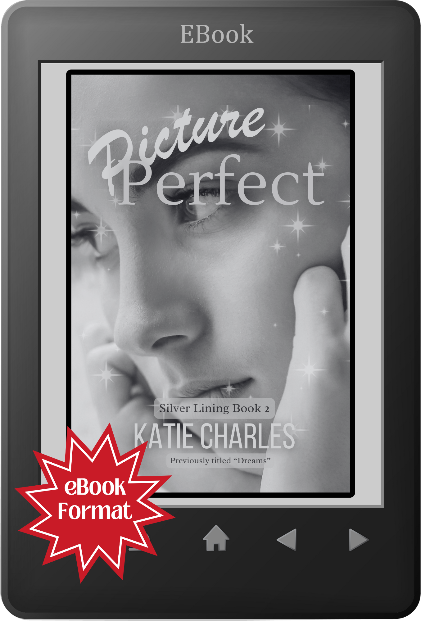 Silver Lining Book Two: Picture Perfect