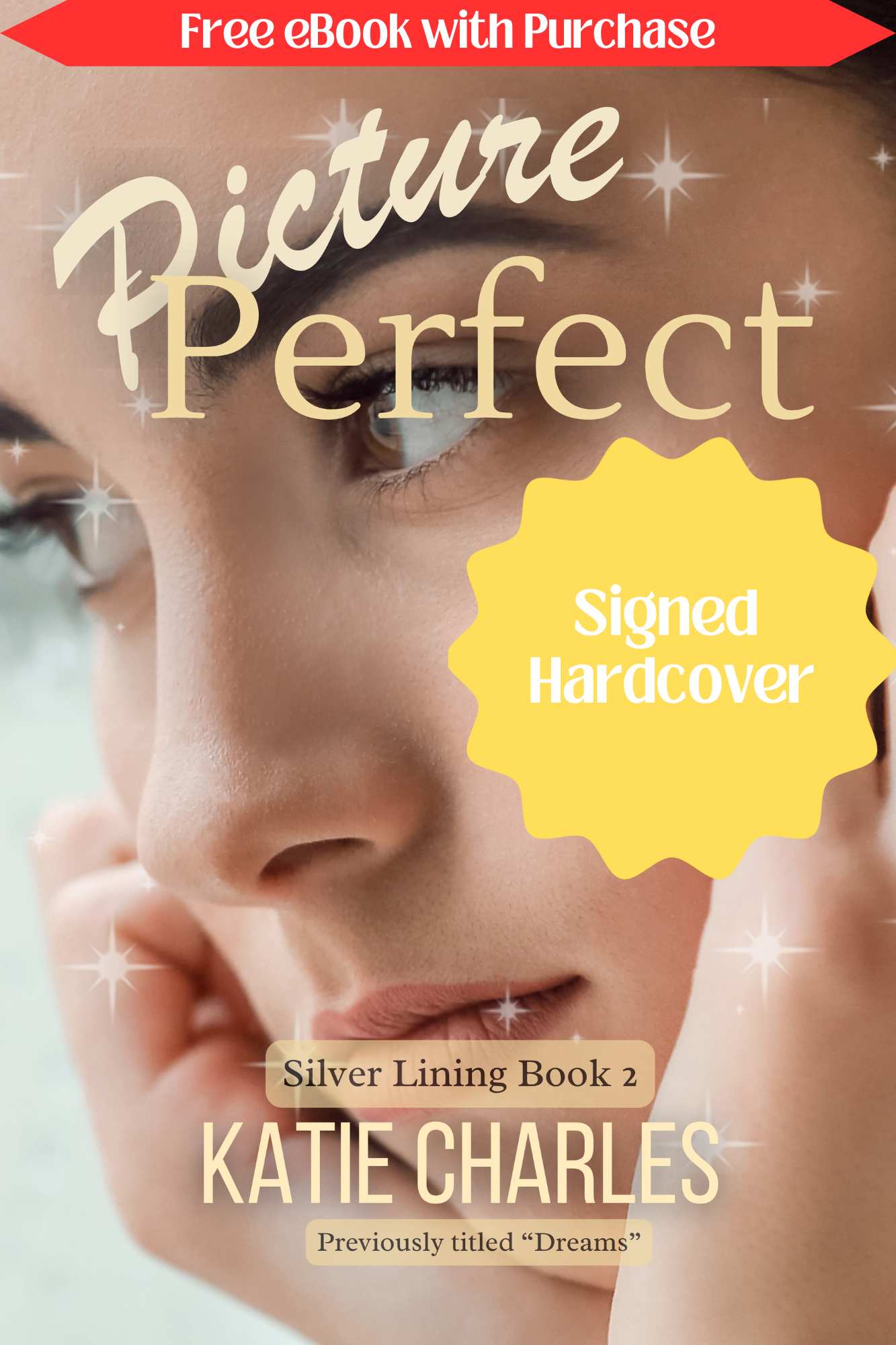 Silver Lining Book Two: Picture Perfect