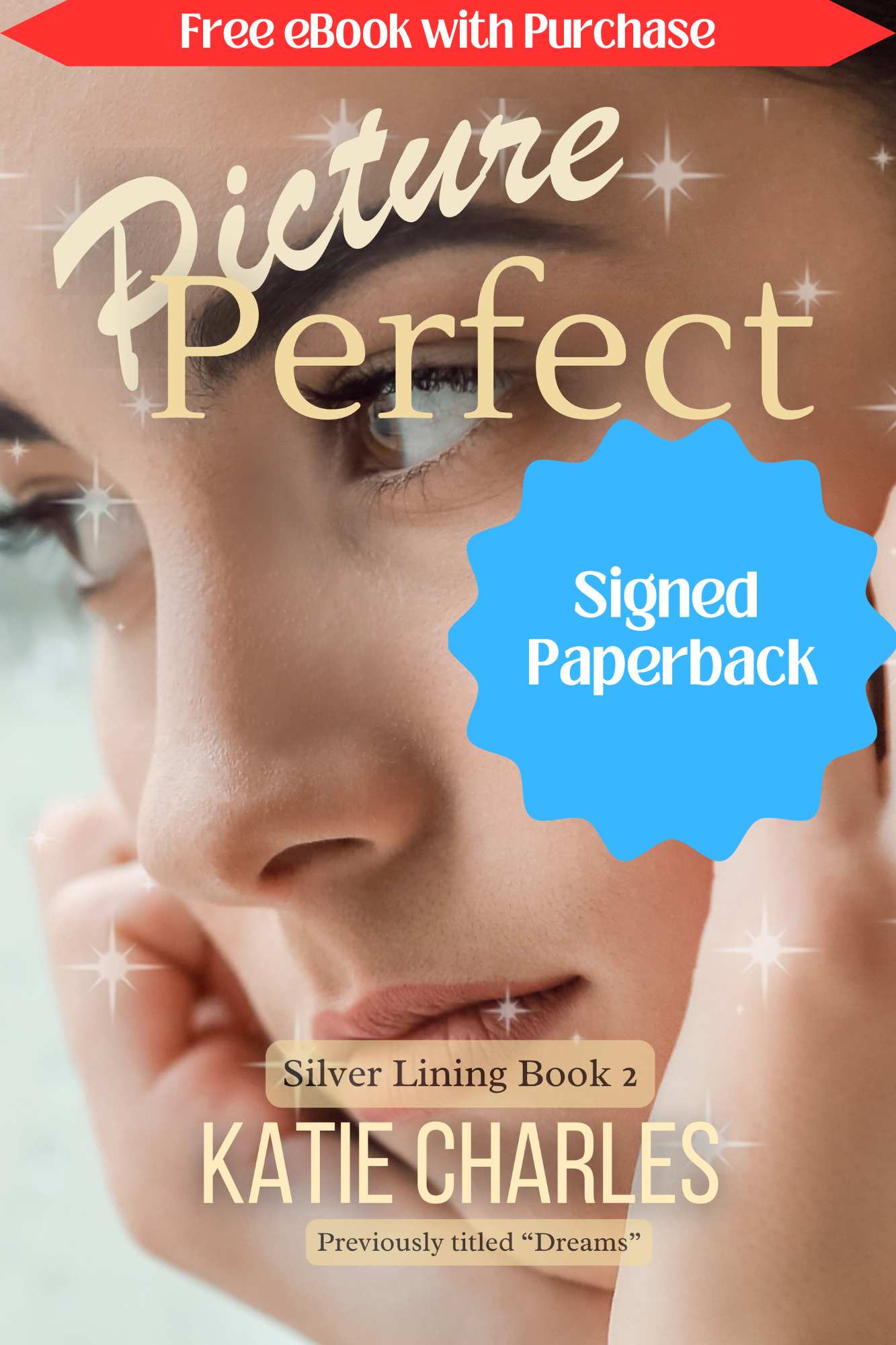 Silver Lining Book Two: Picture Perfect